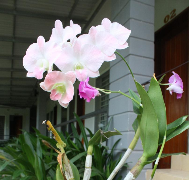 My Parents Guesthouse Kampot Exteriér fotografie