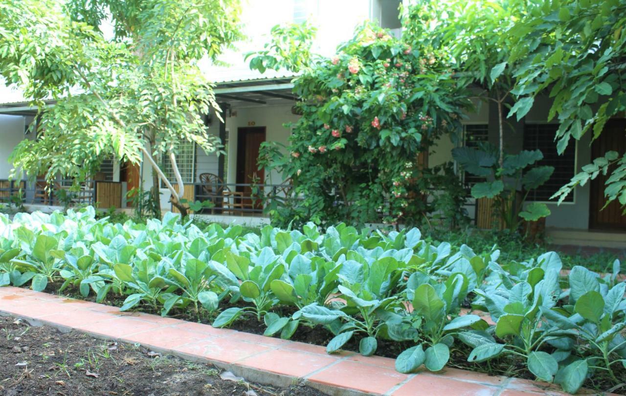My Parents Guesthouse Kampot Exteriér fotografie